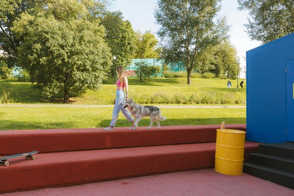 Wie tragen Tiere zur StabilitÃ¤t von Ã–kosystemen bei?